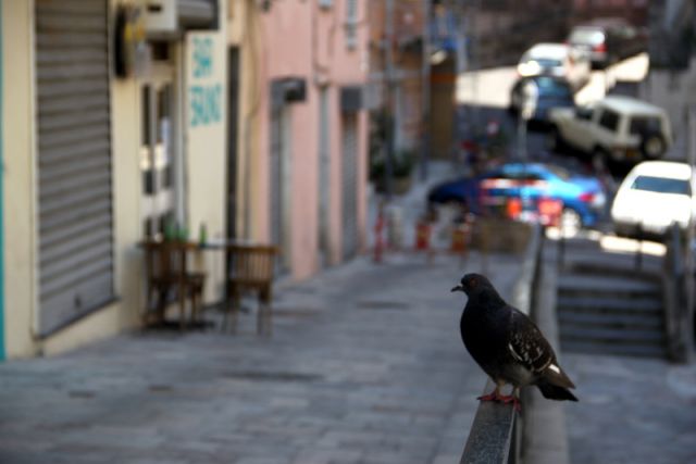 2010 07 04 jeanmarcperfetti.com 050.JPG